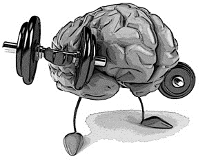 Giving the Brain a Workout! Giving the Brain a Workout!